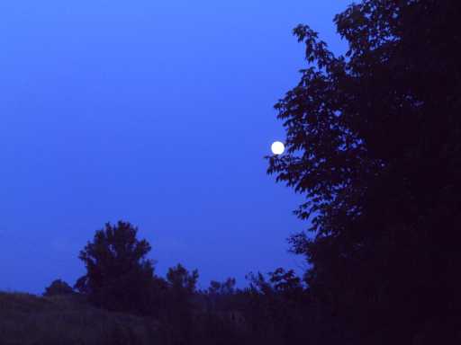 Луна! мне скучно без тебя