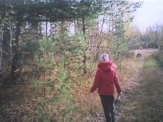 Осенняя краса