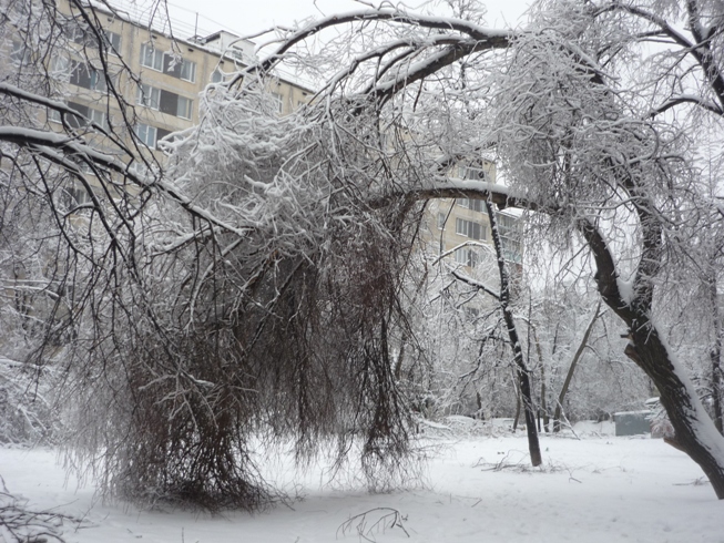 Зимнее бедствие