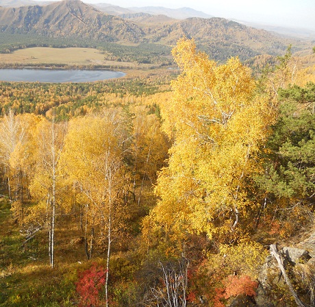 Осень. Александр Зиновьев
