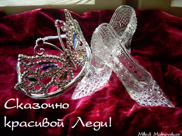 И разгадаю главный в этой жизни принцип..