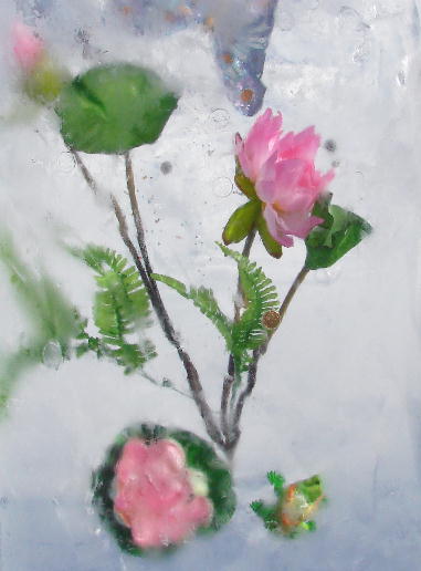 Во льду вмороженная роза