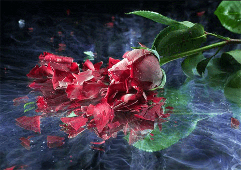 Всё изменилось в одночасье