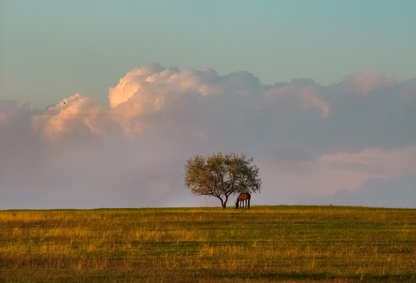 Ставрополье