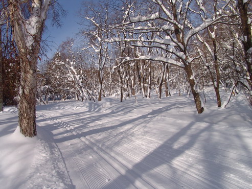 Зимнее утро