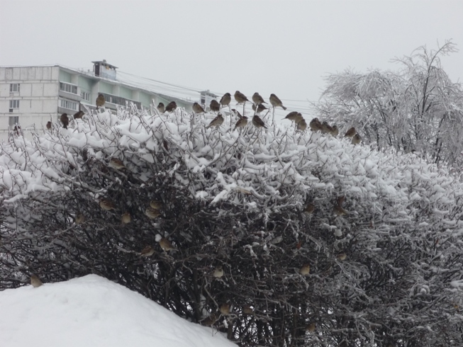 Не торопись опаздывать