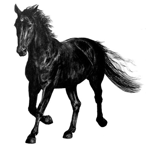 Моя отречённая сущность...