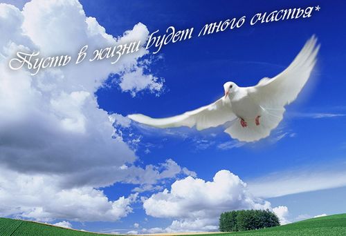 Какой-то свет сегодня серебрится