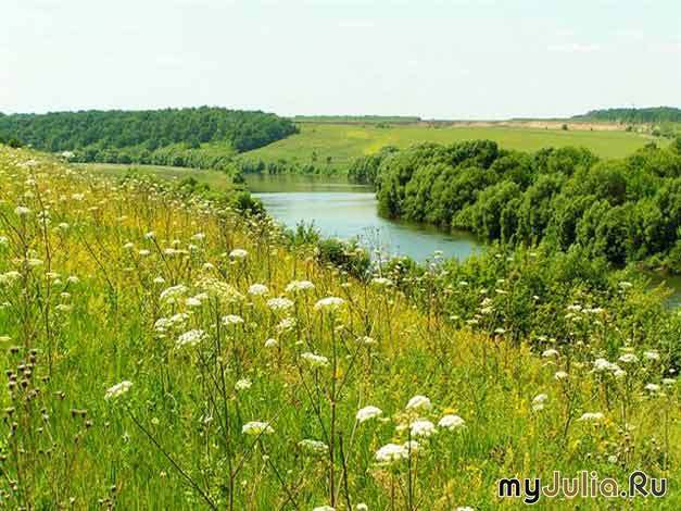 Лес. Луг. Пашня. Водоём
