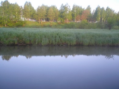 Оковы Богов