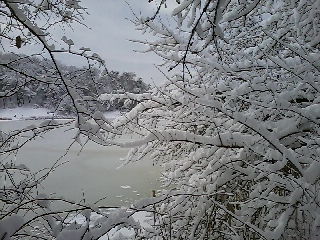 Крещенская вода