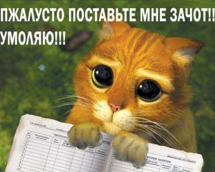 Сессия снова... Ах, как некстати!