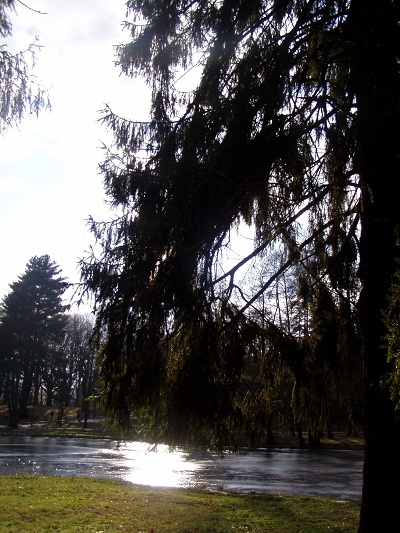 А будущее - будет!