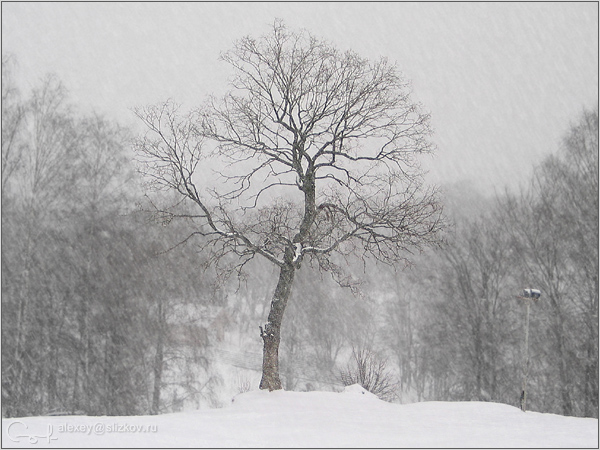 Такой, как я...