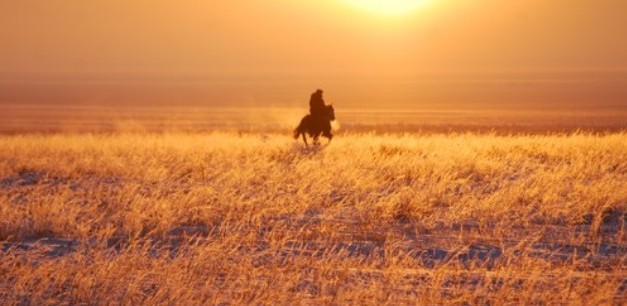 Во степи далёкой