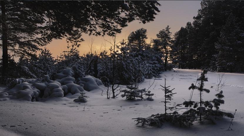Frost Robert. Stopping by Woods on a Snoowy Evenin