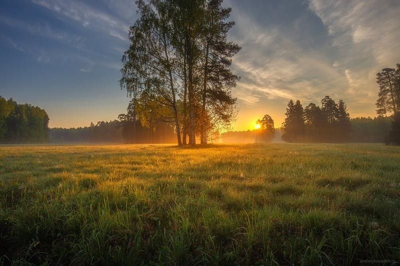 Радуйся солнцу, что жизнь подарило!