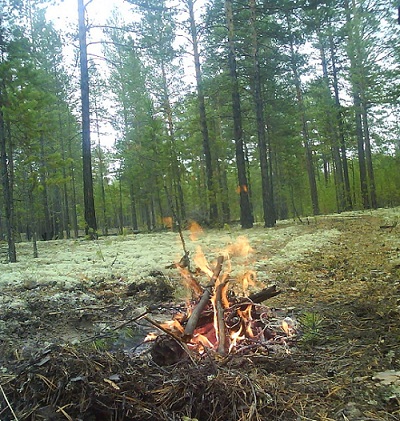 Почему так сердце растревожено...