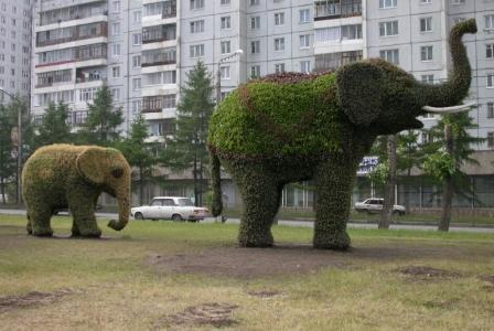 Семь белых слоников шагают по комоду...
