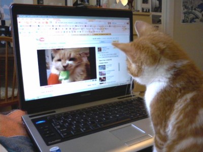 14 С-6 Дружба по монитору...