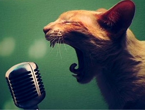 Кривая и лукавая мыслишка...