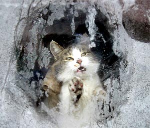 Февральская песня о весне