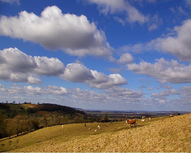 Устал Душой от быта городского