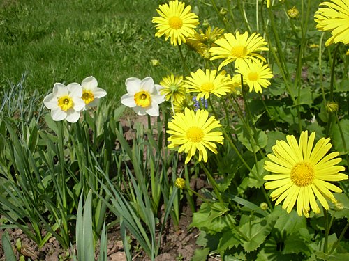 Увидеть так близко