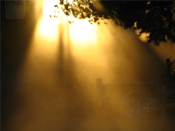 солнечные блики. в луче света. свет сквозь пыль. блик солнца. пыль над солнцем.