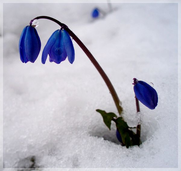 Февраль уходит