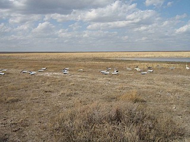 Побединская детвора