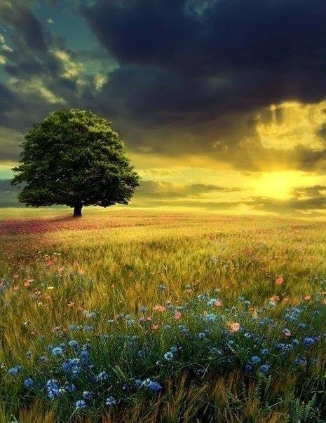 Ангелы небес