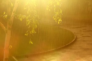 Примета осени