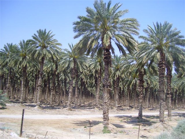 Потепление