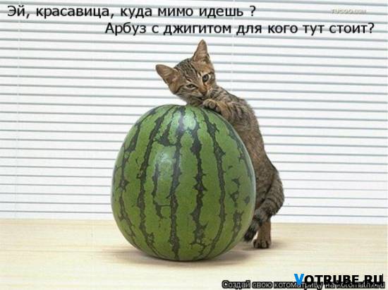 ни денег, ни любви, ни муз-