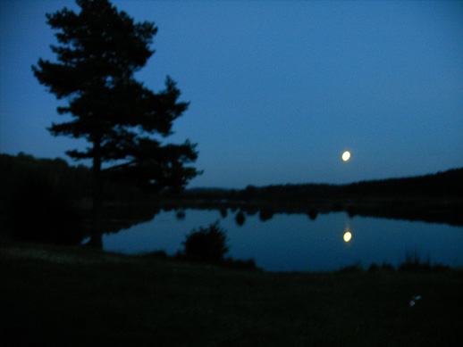 Весенний ноктюрн