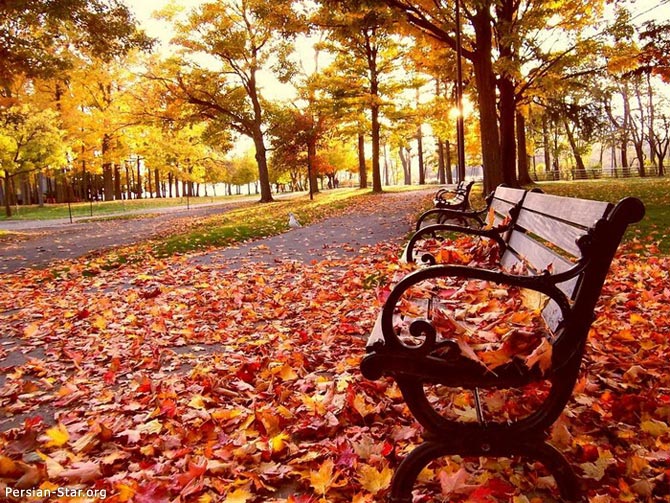 Прошла осенняя пора