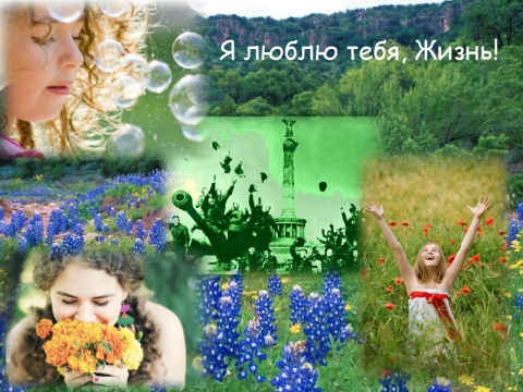 Жизнь моя...