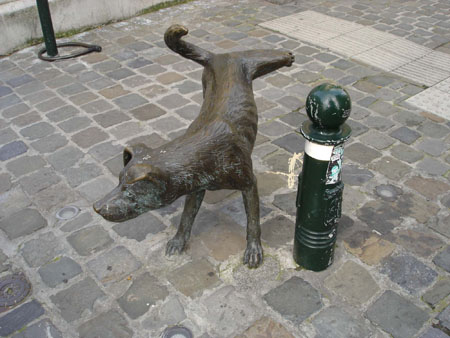 Три бездомные собаки Брюссель! Trois chiens errant