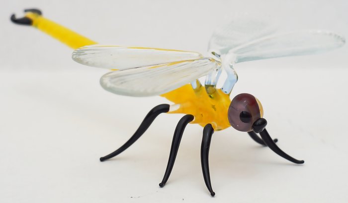 История о братьях наших меньших