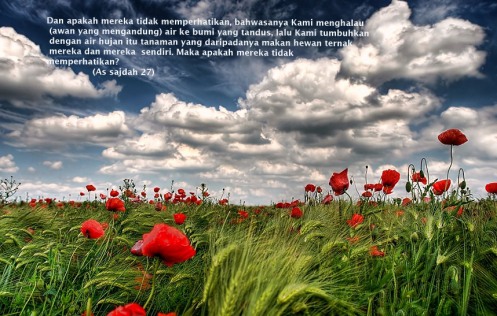 Я радуюсь за