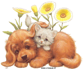 Пес зiбрався на конгрес