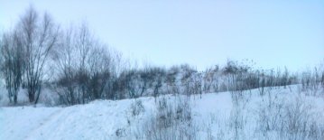 Зимний вечер