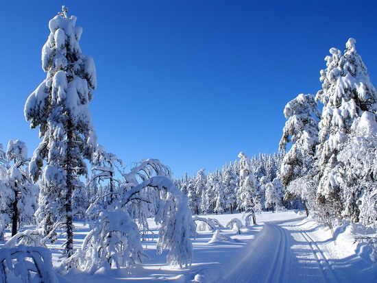 Бодрящий эликсир