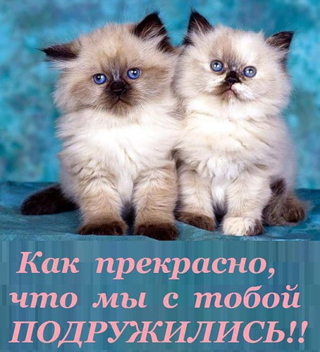 Друзья клуба Киевские поэты