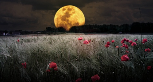 А лишь вчера...