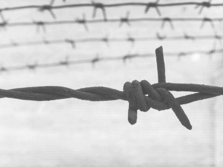 лютует февраль