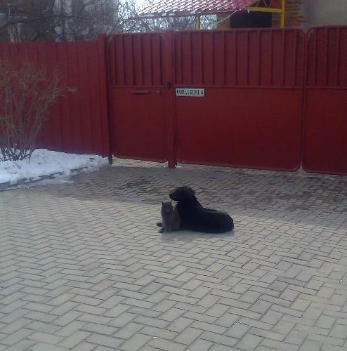 Сторожа