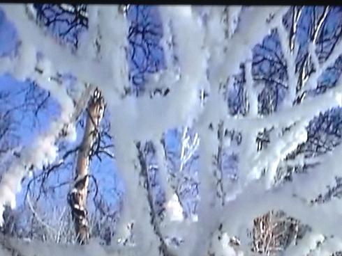 Алмазной гранью в фонарях искрились