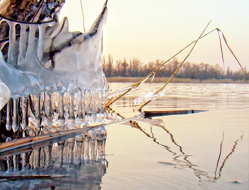 В меню сегодня снежный пудинг...